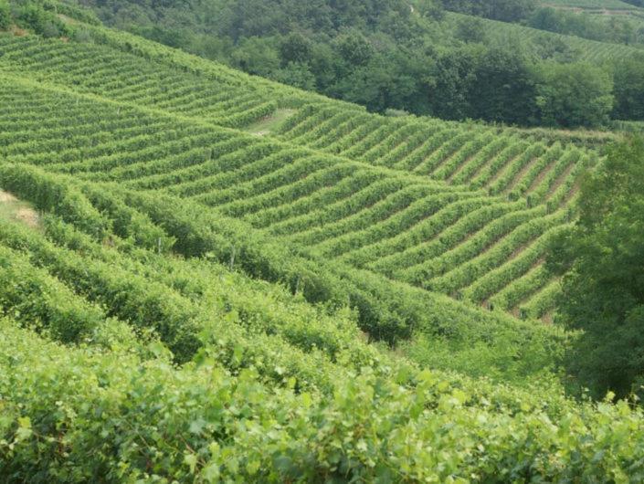 Cascina In Alto Piemonte / Piedmont Countryhouse Lozzolo 외부 사진